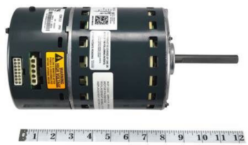 Blower Motor