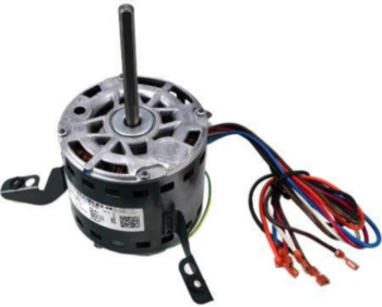 Service Single Pack Motor