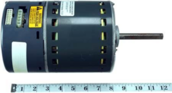 Blower Motor