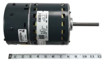 Blower Motor