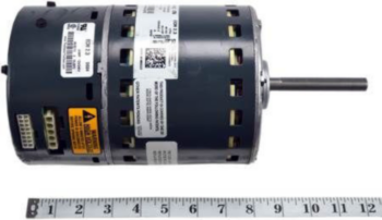 Blower Motor