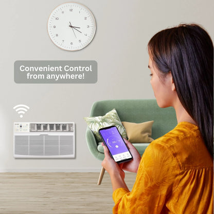 Olmo 12,000 BTU Smart Window / TTW Through-Wall AC – Cool Only 230V