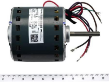 Blower Motor, 3/4 Hp, 380/460 V